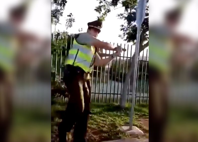 Carabinero disparando a vendedor haitiano.jpg