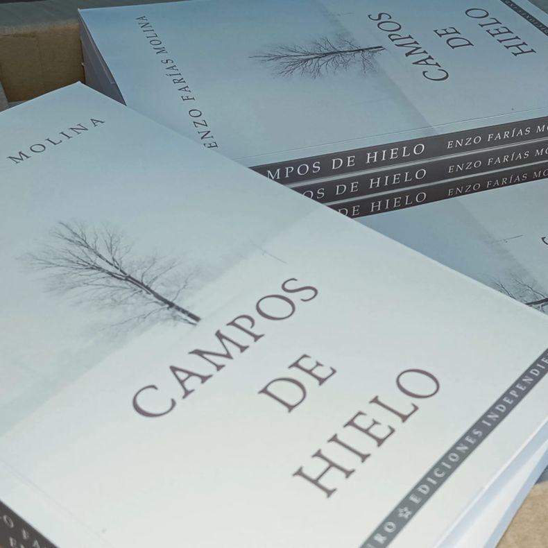 Portada del libro Campos de Hielo del escritor chileno Enzo Farías.&nbsp;