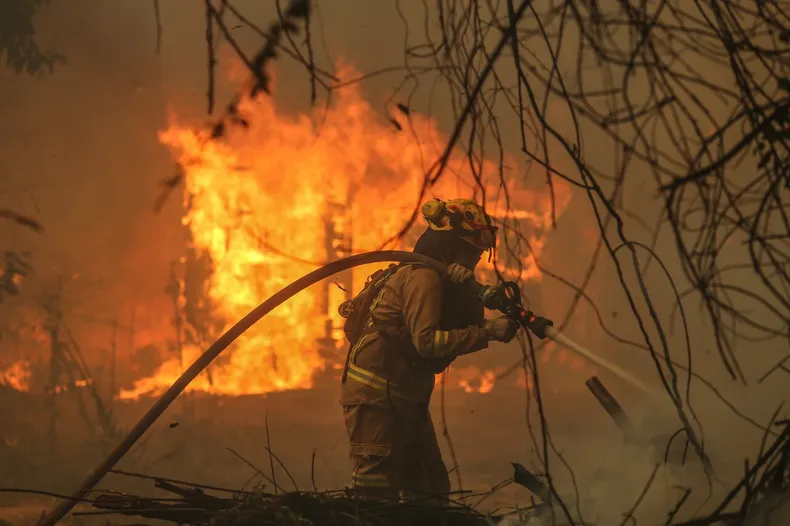9946 incendios.webp