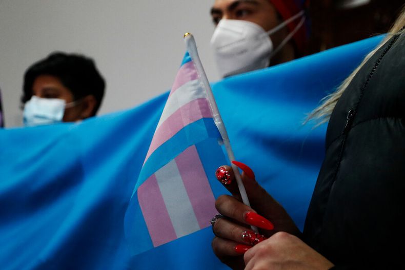 dia de la visibilidad trans 667 de la comunidad manifesto discriminacion para conseguir trabajo.jpg