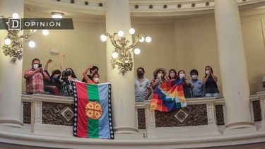 El Desconcierto | Convencionales de pureblos originarios.jpg