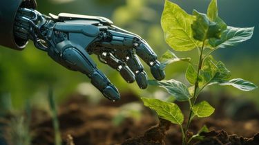 La Inteligencia Artificial puede reducir emisiones y gestionar recursos, pero el uso de energía y la soberanía de datos en el Sur Global están en juego.