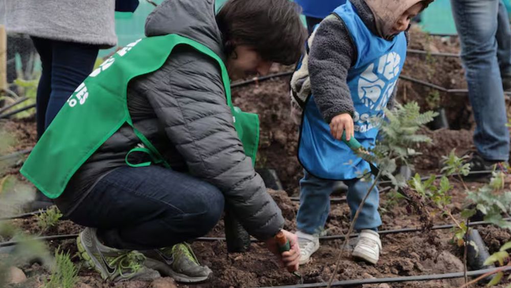 Desde la reforestación en Chiloé hasta la desalinización solar en el norte, comunidades escolares transforman sus colegios en espacios sustentables.