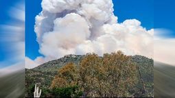 Incendio en Colliguay: Más de 2.000 hectáreas quemadas y peligro de reactivación