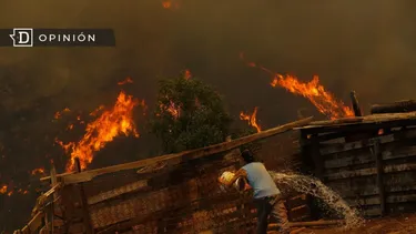 El Desconcierto | 11445 imgen de los incendios en vina del mar el 2024.webp