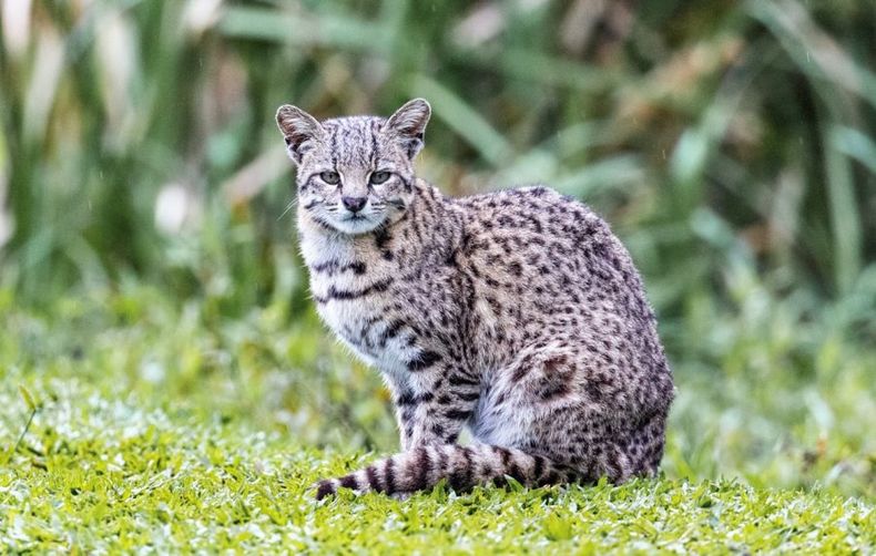 PHOTO 2020 10 09 19 35 16 e1677510217885.jpg