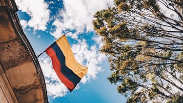 El Desconcierto | ambientalismo en colombia.jpeg