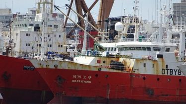 En un año golpeará el bolsillo del consumidor el aumento del precio de transporte marítimo