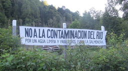 Vecinos y abogados ganan pulseada a salmonera sin permiso que contaminó río en localidad rural de Villarrica