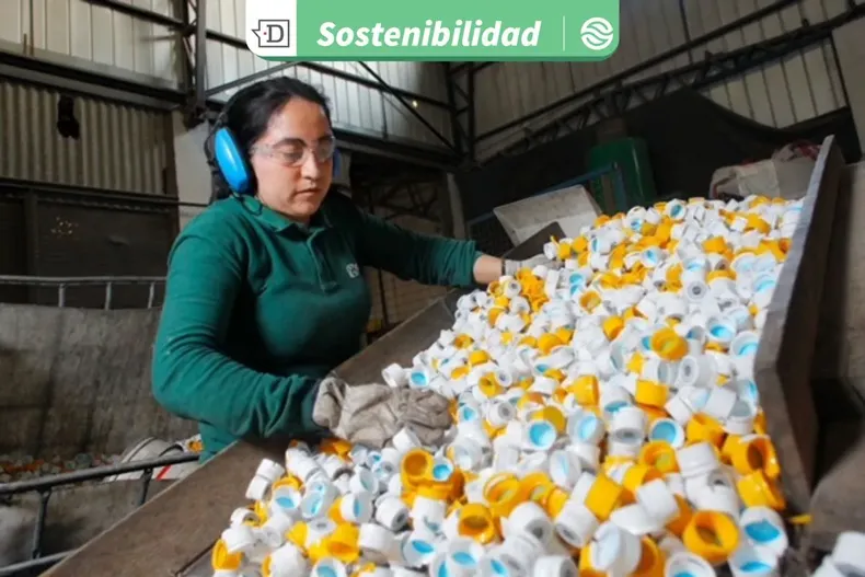 22409 diseno sin titulo 2025 09 11t123417.webp