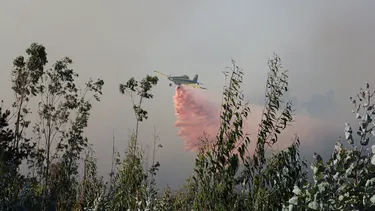 Gobierno confirma sospechas de intencionalidad en incendios: Evaluarán toque de queda para este lunes