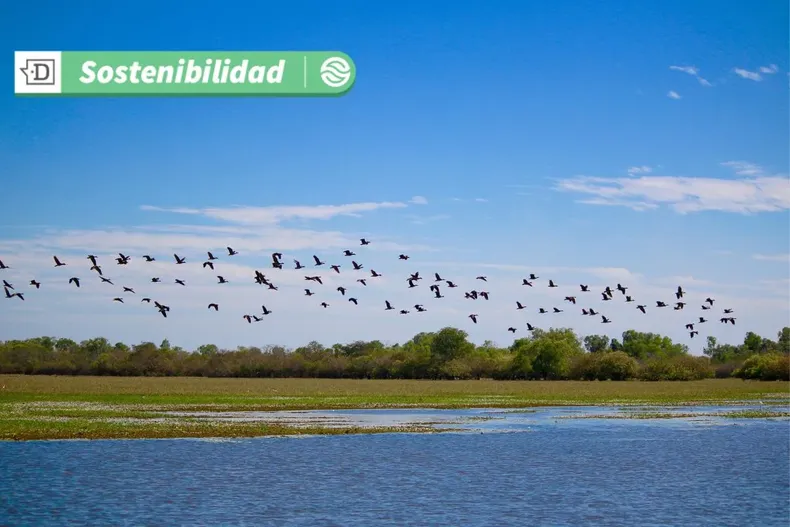 18102 diseno sin titulo 2025 06 26t113022.webp