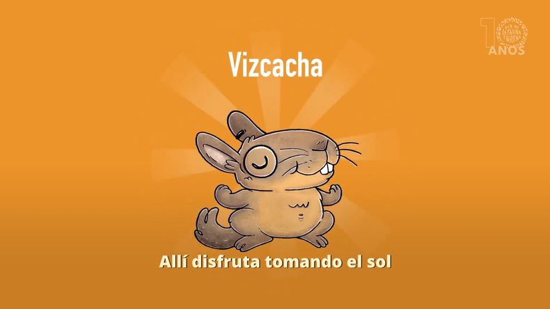 Vizcacha.jpg