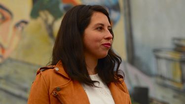 Chile Vamos intentará vetar de la presidencia de la Comisión de Trabajo a la diputada Gael Yeomans
