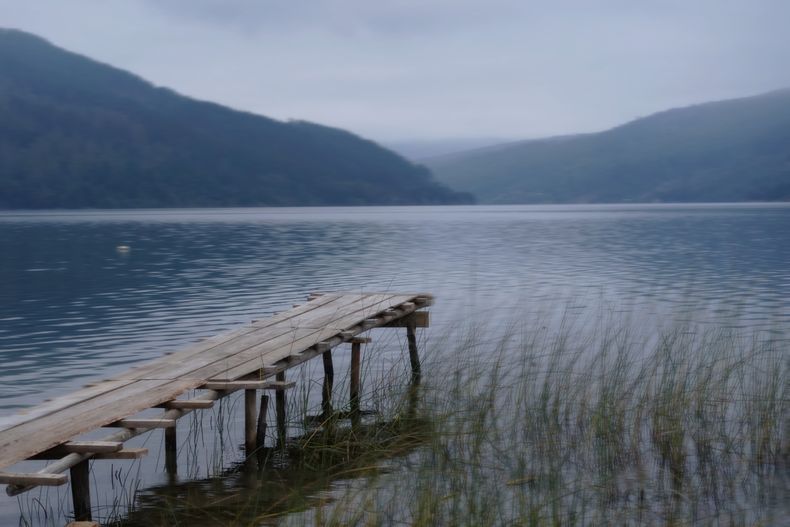 Lago Lleu lleu, Región del Biobío. Un lago protegido y honrado por comunidades mapuche, que consideran que es un espíritu. Eso se puede sentir estando allí, que es algo vivo, limpio y sanador, relató la fotógrafa.