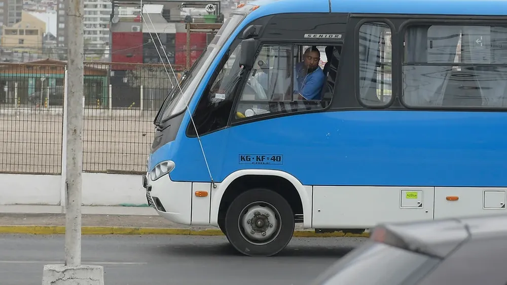 Chofer, dueño y empresa de buses deberán indemnizar con $50 millones a familia de peatona fallecida en atropello