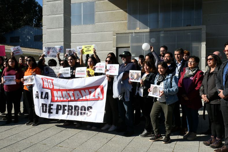 22836 4661888a 4c07 45c8 a11b d6dddb146134.jpeg