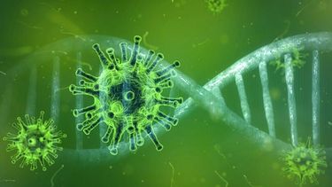Aseguran que coronavirus se originó en China, pero que no fue creado ni manipulado genéticamente