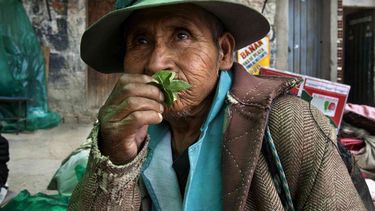 El Desconcierto | coca.jpg