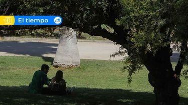 Julio llega con “veranito de San Juan”: Santiago tendrá máximas sobre los 25°C, pero amaneceres muy fríos