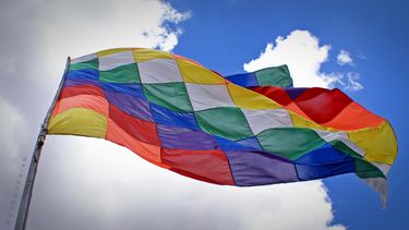 El Desconcierto | Bandera de Pueblos Originarios 2.jpg
