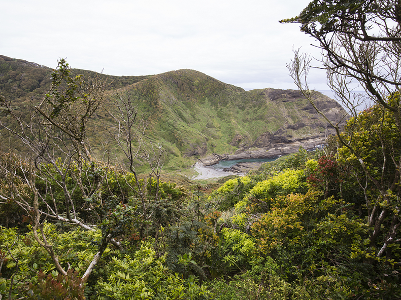 guafo_web_722649.png
