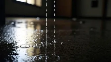 ¿Tu casa nueva tiene filtraciones tras las lluvias? Puedes pedir reparación, arriendo temporal e indemnización: Ley da 5 años