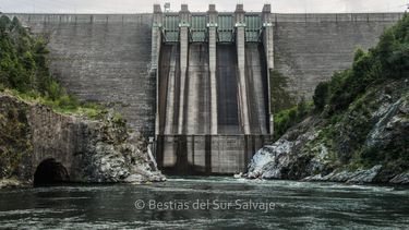 El Desconcierto | Represa Pangue Paulo Urrutia 3 scaled 1.jpg