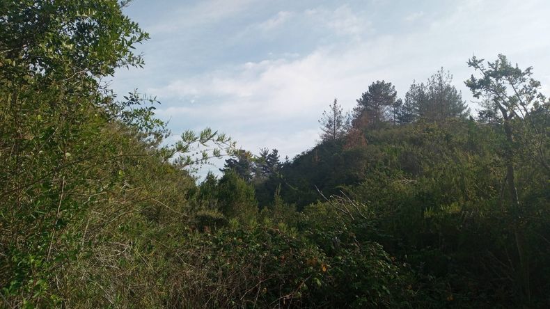 El Quisco scaled.jpg