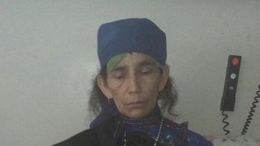 ¿Por qué está lleno de noticias sobre la machi?: El viral que explica con manzanitas la situación de Francisca Linconao