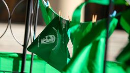 Aborto legal: Organización pro familia aboga por su aprobación recalcando que “es un derecho humano”