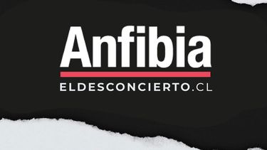 El Desconcierto | anfibia y ED_Mesa de trabajo 1.jpg
