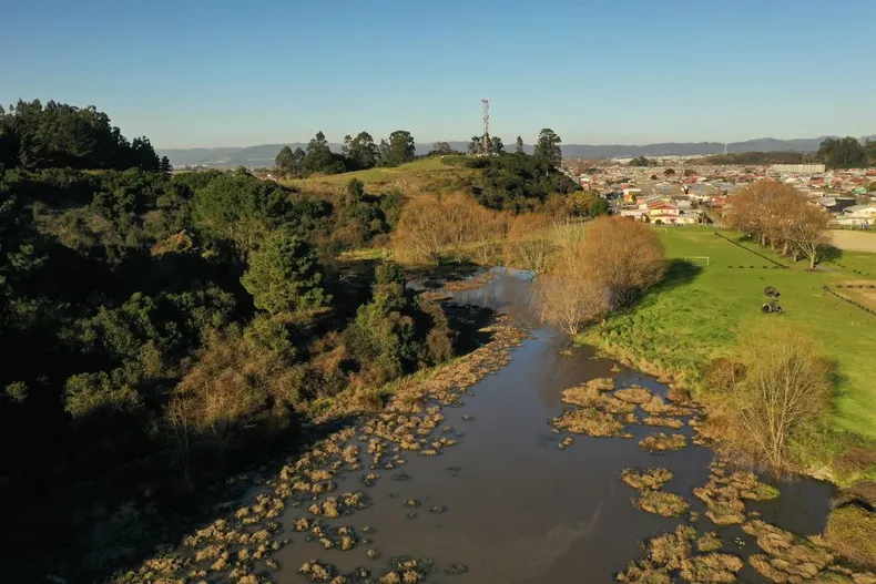 20663 diseno sin titulo 64.webp