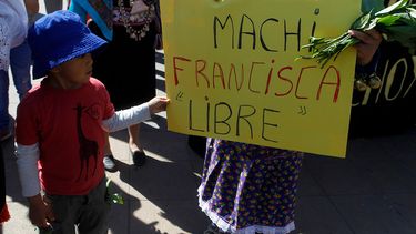 Corte de Apelaciones establece arresto domiciliario para machi Francisca Linconao