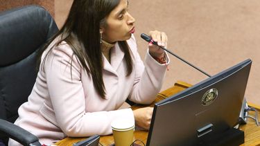 El Desconcierto | 9652 campillai.jpg