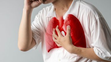 tuberculosis activa en chile: como reconocer los sintomas y que grupos son los mas vulnerables al contagio