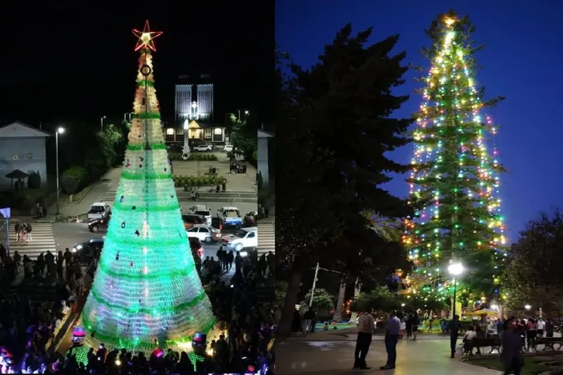 9409 arboles navidad 1.webp