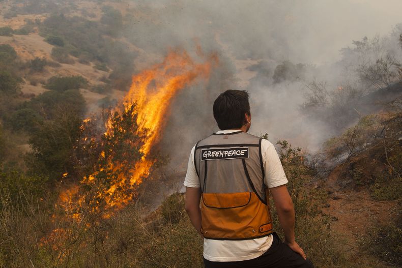 INCENDIOS_FORESTALES_CHILE35.jpg