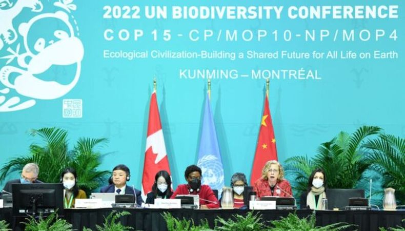 COP15 ceremonia apertura_Alamy_2M0W0X3 1024x583 1 662x377 1.jpg