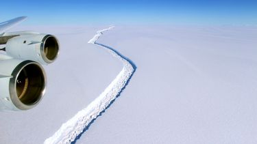 Greenpeace dice que desprendimiento del iceberg es señal de que la crisis climática es más grave de lo que se piensa