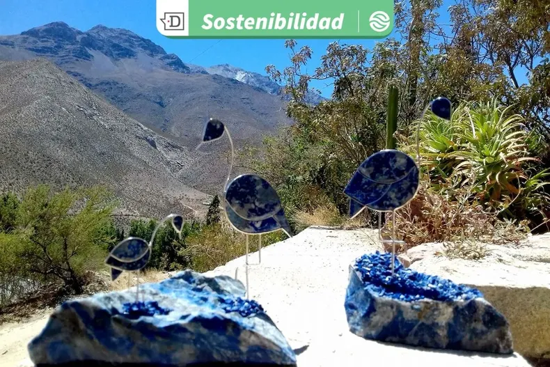 23546 diseno sin titulo 2025 10 02t151427.webp