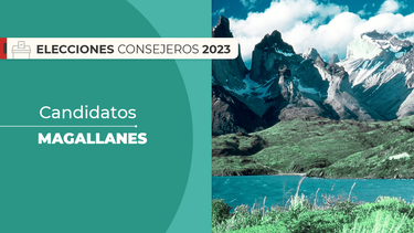 El Desconcierto | Magallanes.png