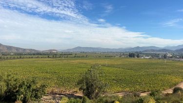 Evitar contaminación: conocida viña valoriza residuos de madera y plástico en alianza con emprendimientos Evitar contaminación: conocida viña valoriza residuos de madera y plástico en alianza con emprendimientos