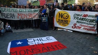FOTOS| Miles de personas marchan en todo el mundo contra los transgénicos de Monsanto