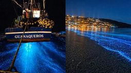 Bioluminiscencia en Guanaqueros - Facebook T.V Astorga Bioluminiscencia en Guanaqueros - Facebook T.V Astorga