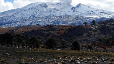 Sernageomin decreta alerta amarilla tras aumento de actividad del volcán Copahue en Biobío