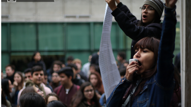 El Desconcierto | Sufrimiento universitario e1713365914681.png