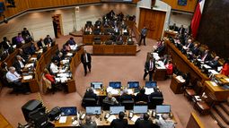 Prohíbe los símbolos y homenajes que honren a condenados de dictadura: Presentan proyecto de ley