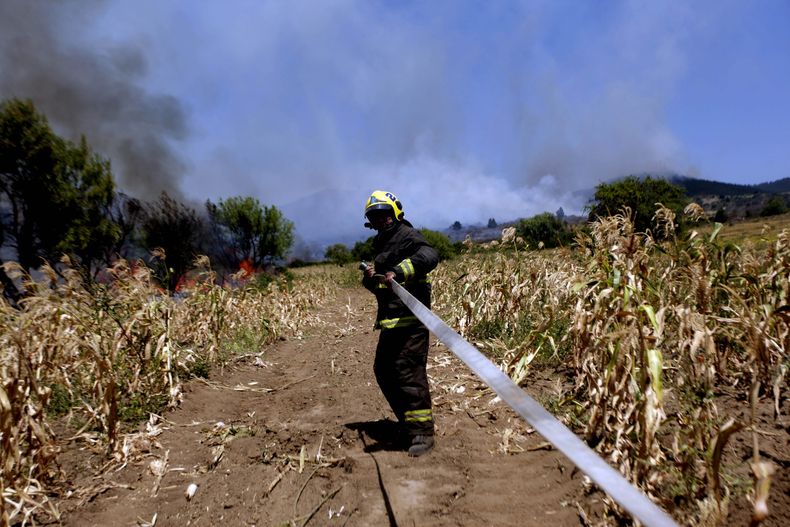 bombero_AgenciaUno scaled.jpg