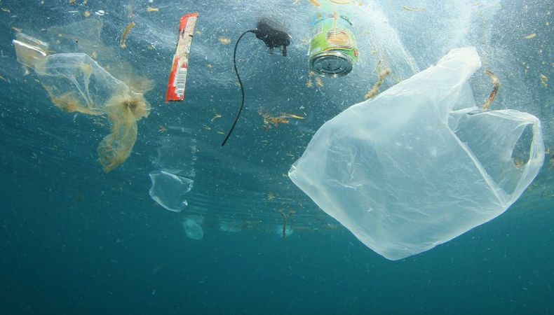 plasticos e1654112090351.jpg